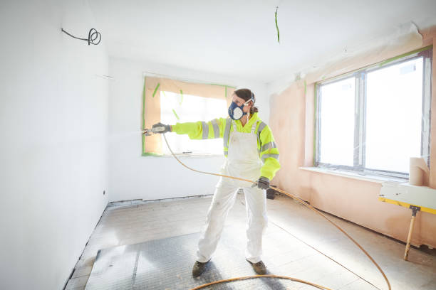 Best Water Damage & Mold Remediation  in Lumbine, CO