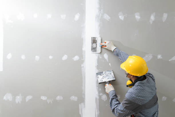 Best Black Mold Removal  in Lumbine, CO