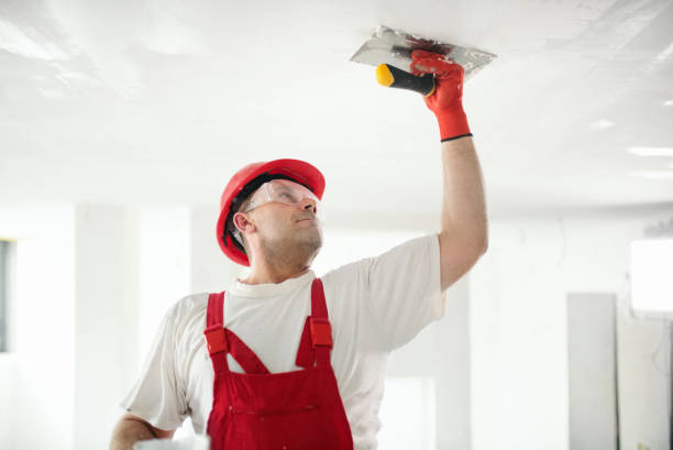 Best Mold Remediation for Healthcare Facilities  in Lumbine, CO