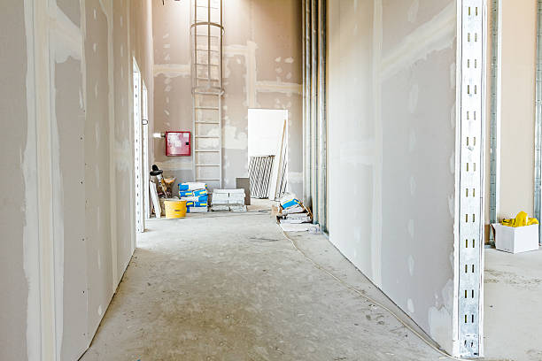 Trusted Columbine, CO Mold Removal Experts