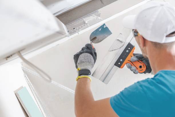 Best Mold Remediation for Healthcare Facilities  in Lumbine, CO